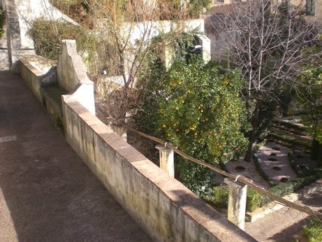 08 Giardino della Minerva.JPG